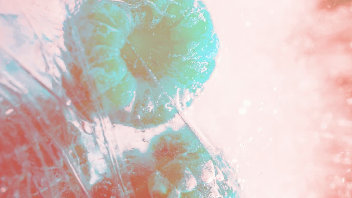 Ruhebereich der Praxis für Infusionstherapie und Naturheilkunde